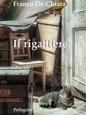 cover image of Il rigattiere